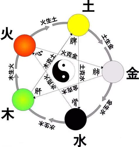 語 五行|语的五行属性是什么